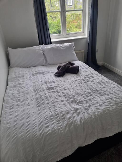 Maidstone Villa 3 Bedroom Free Sports Channels,Parking Sleeps 7 מראה חיצוני תמונה