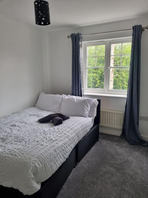 Maidstone Villa 3 Bedroom Free Sports Channels,Parking Sleeps 7 מראה חיצוני תמונה